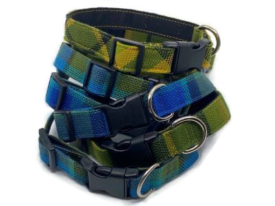 Dog Collars